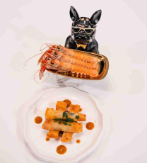 optimized_dsc07967-enhanced-nr